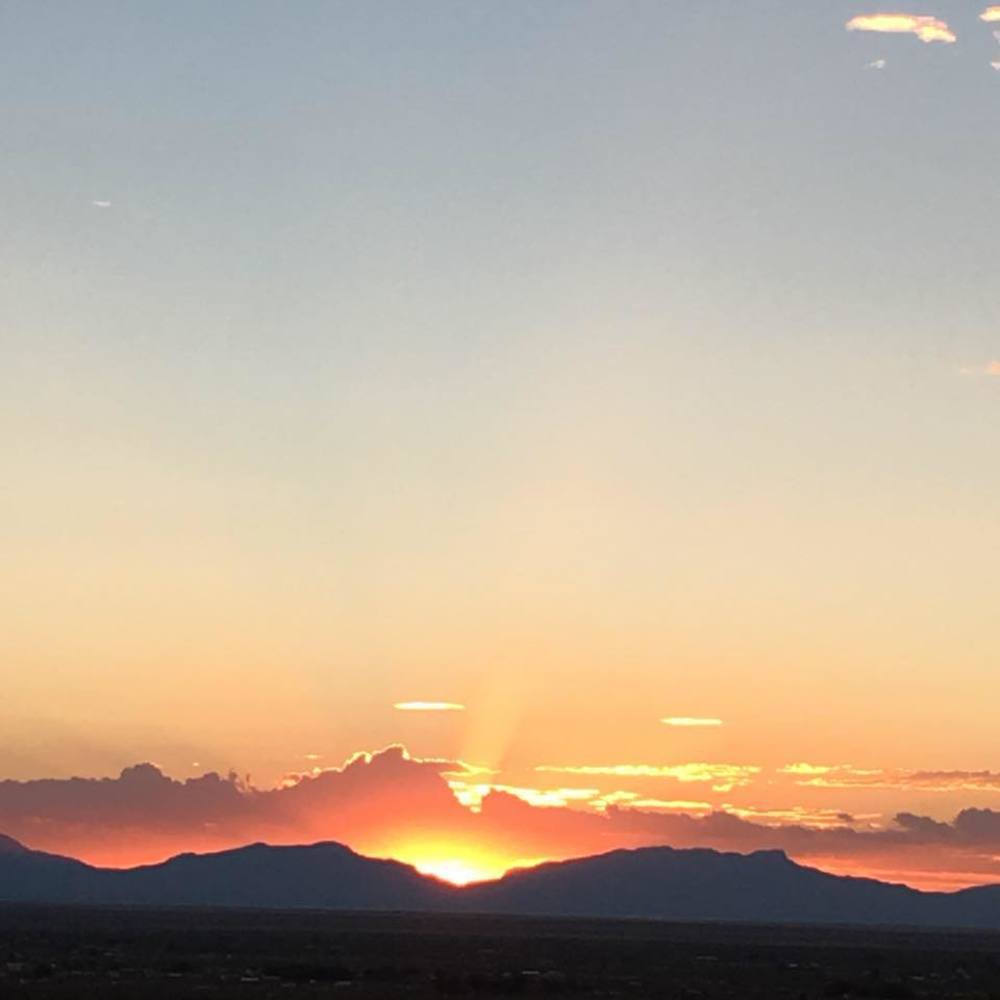 Meet your Posher, Silvia